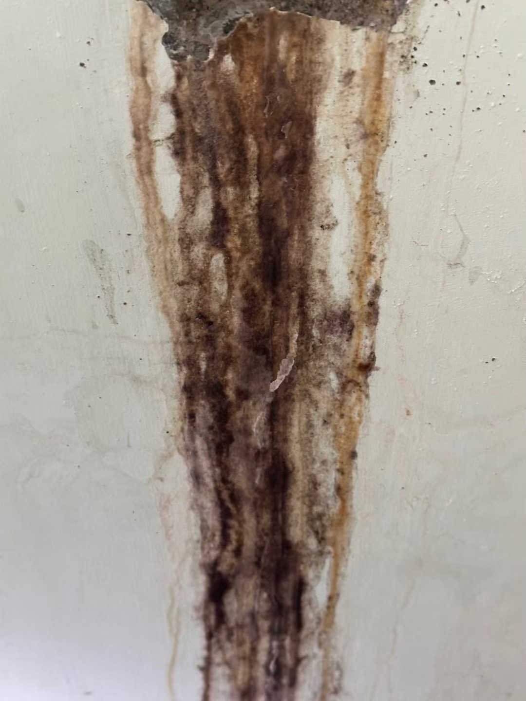 牆壁滲水